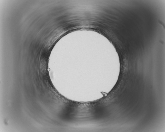 X0000103941169200810171808