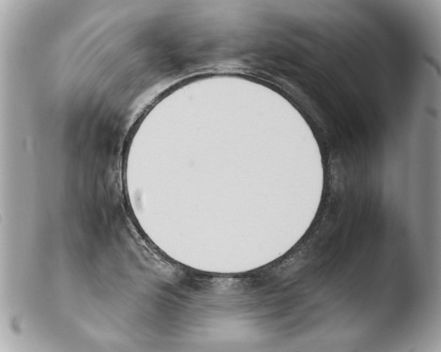 X0000103941176200810171808