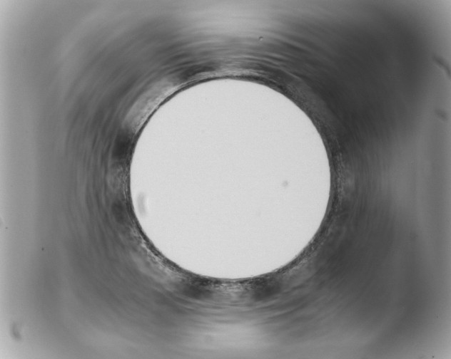 X0000103941177200810171808