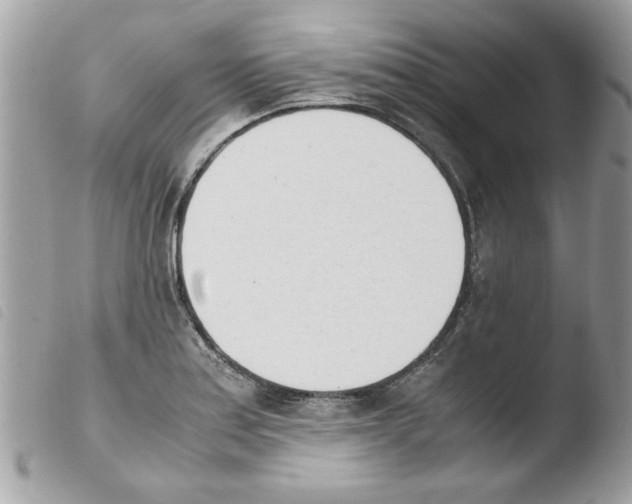 X0000103941179200810171808