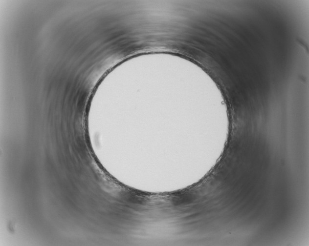 X0000103941181200810171808