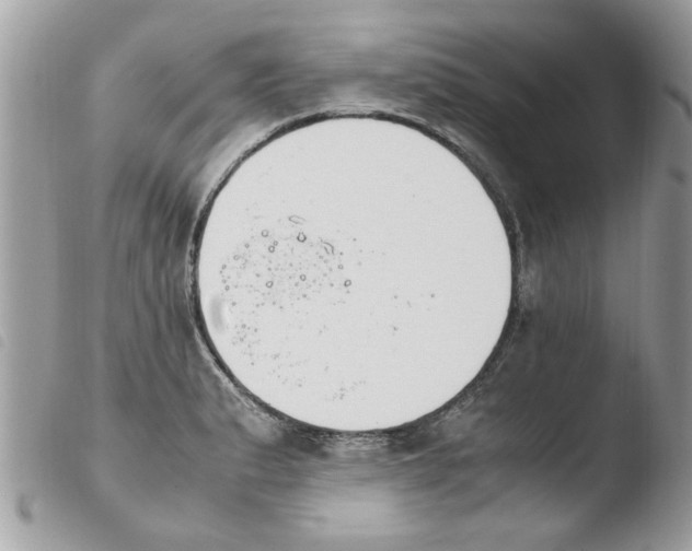 X0000103941183200810171808