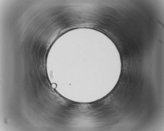 X0000103941184200810171808