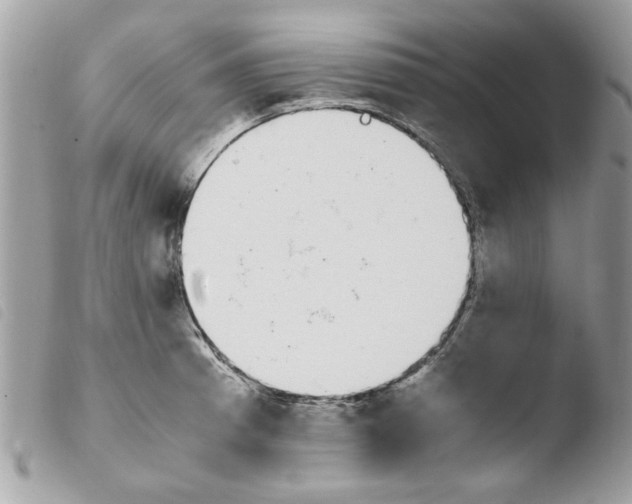 X0000103941185200810171808