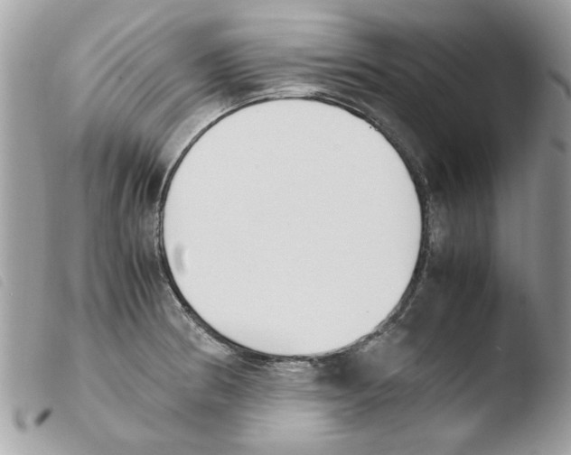 X0000103941186200810171808