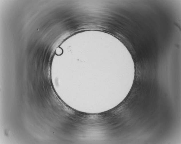 X0000103941188200810171808