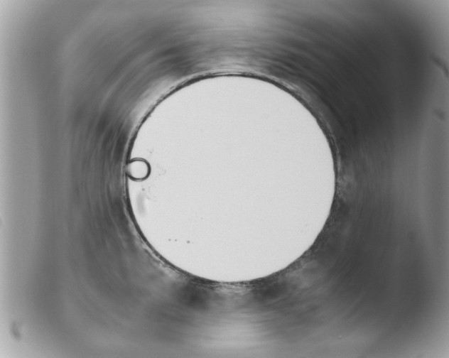 X0000103941191200810171808