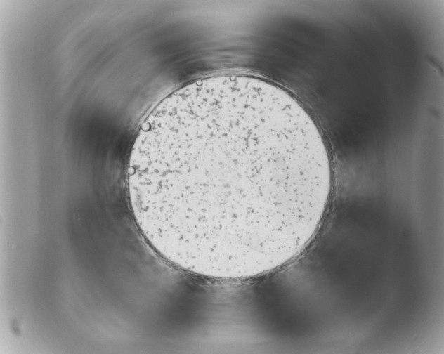 X0000103941193200810171808