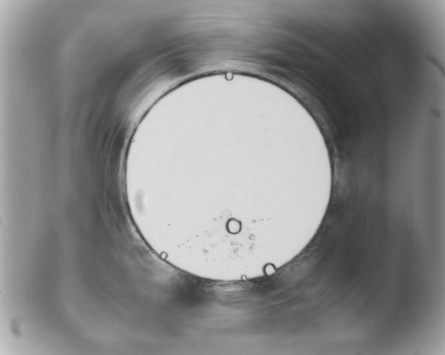 X0000103941199200810171808