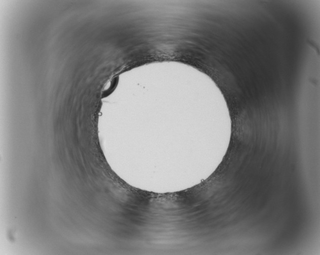 X0000103941201200810171807