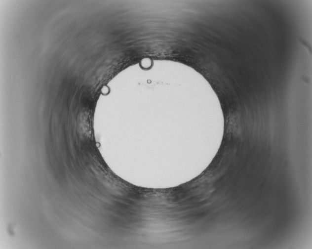 X0000103941202200810171807