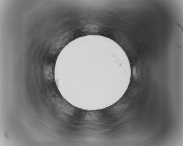 X0000103941203200810171807