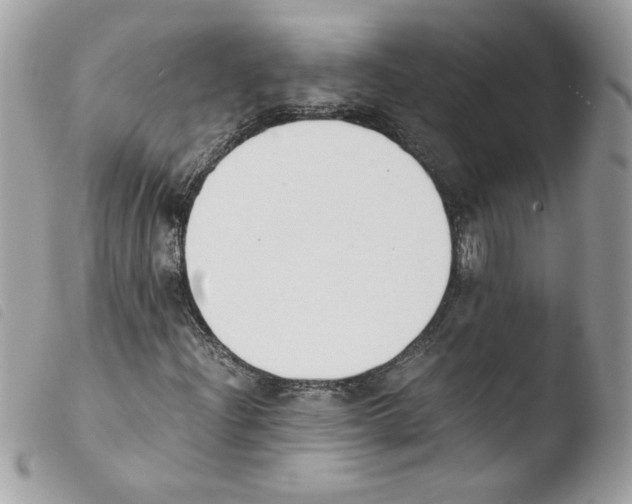 X0000103941204200810171807