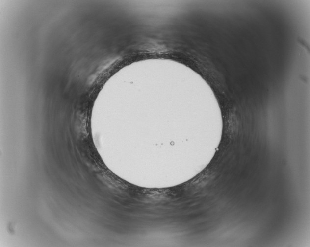 X0000103941205200810171807