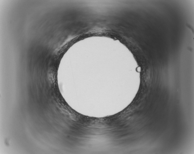 X0000103941206200810171807