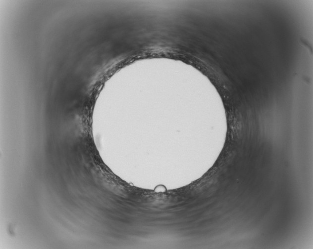 X0000103941207200810171807