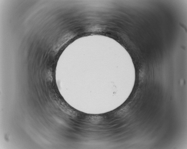 X0000103941209200810171807