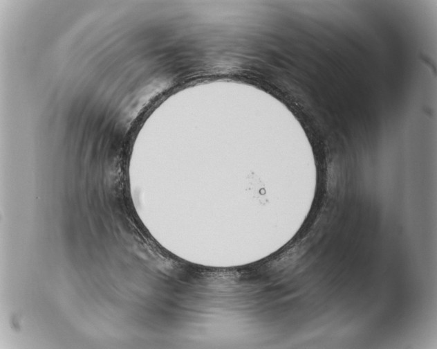 X0000103941210200810171807