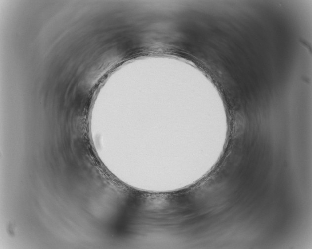 X0000103941211200810171807