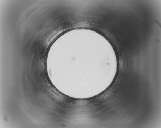 X0000103941212200810171807