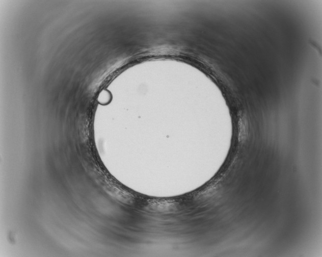 X0000103941213200810171807