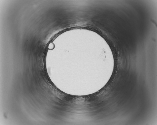 X0000103941214200810171807