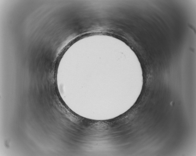 X0000103941216200810171807