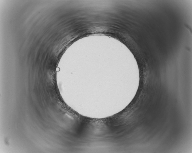 X0000103941217200810171807