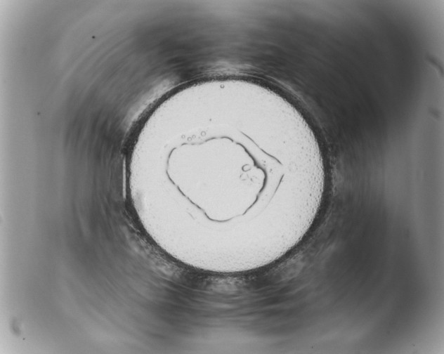 X0000103941219200810171807