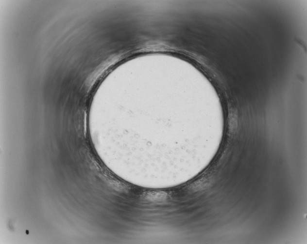 X0000103941221200810171807