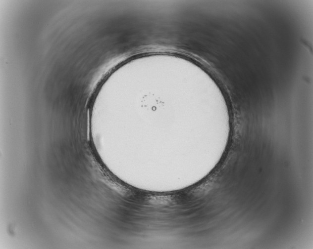 X0000103941223200810171807