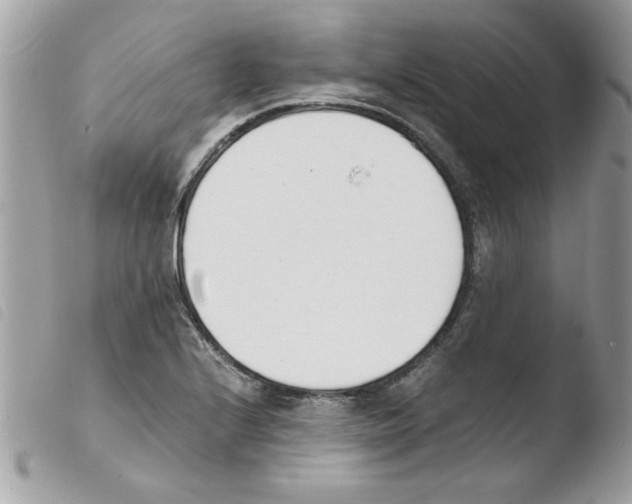 X0000103941224200810171807