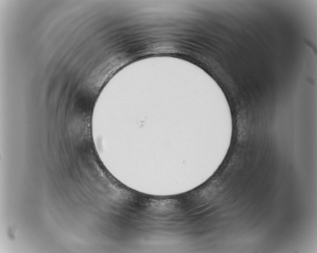 X0000103941225200810171807