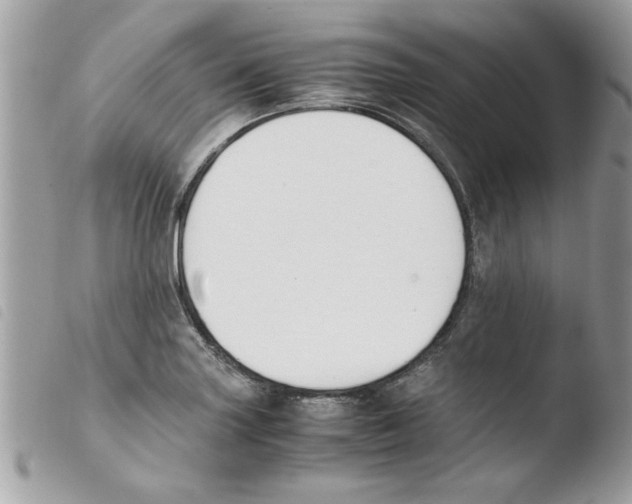 X0000103941227200810171807