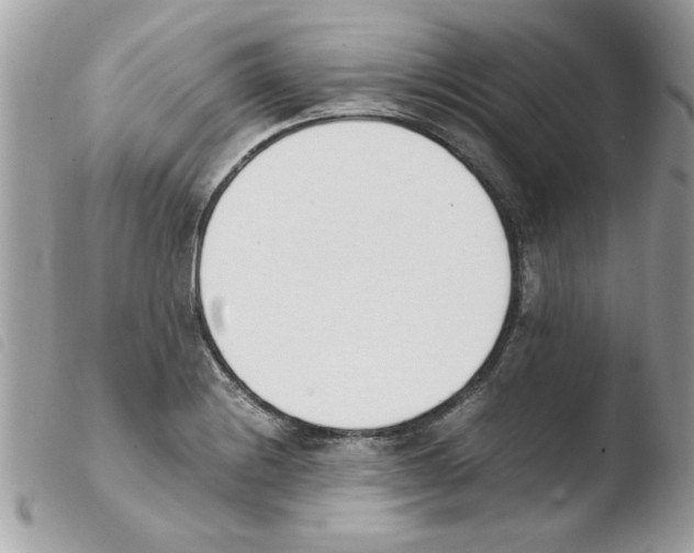 X0000103941228200810171807