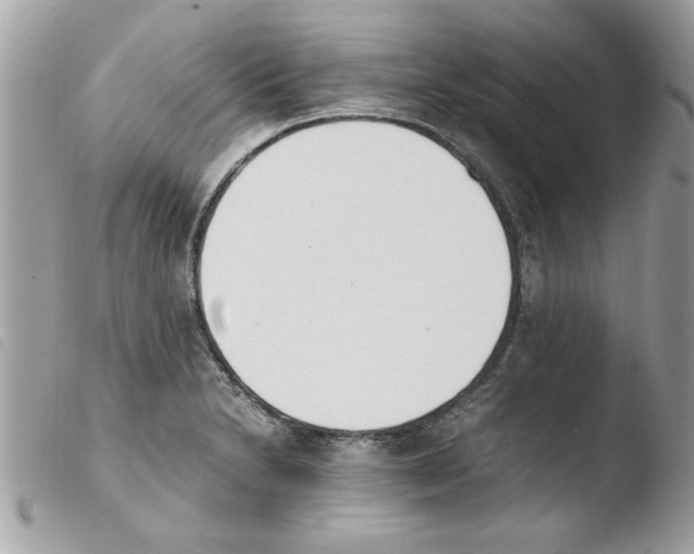 X0000103941230200810171807