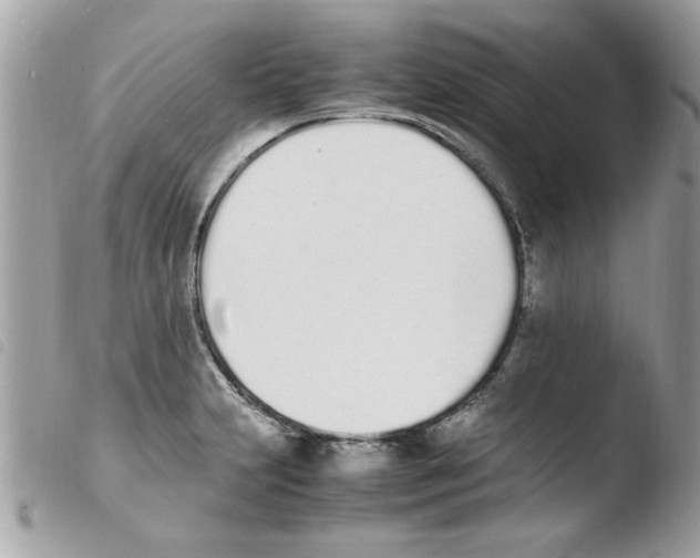 X0000103941231200810171807