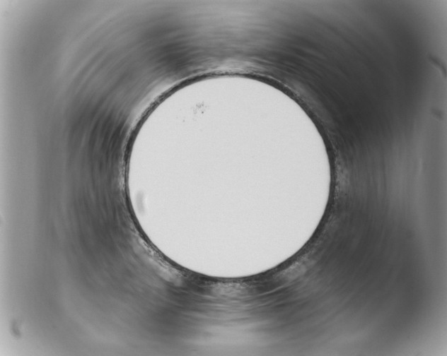 X0000103941232200810171807