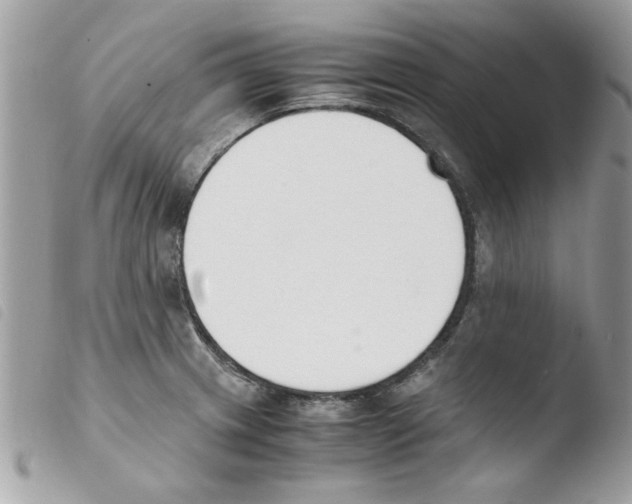 X0000103941233200810171807