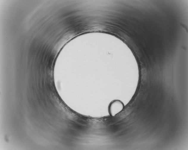 X0000103941234200810171807