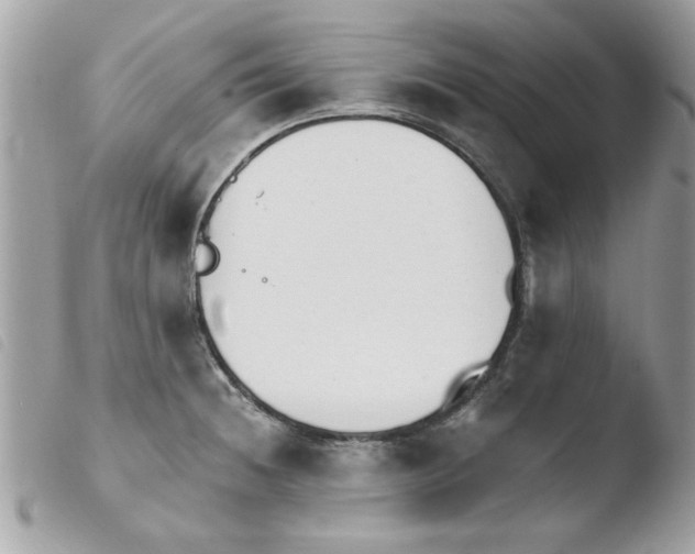 X0000103941236200810171807