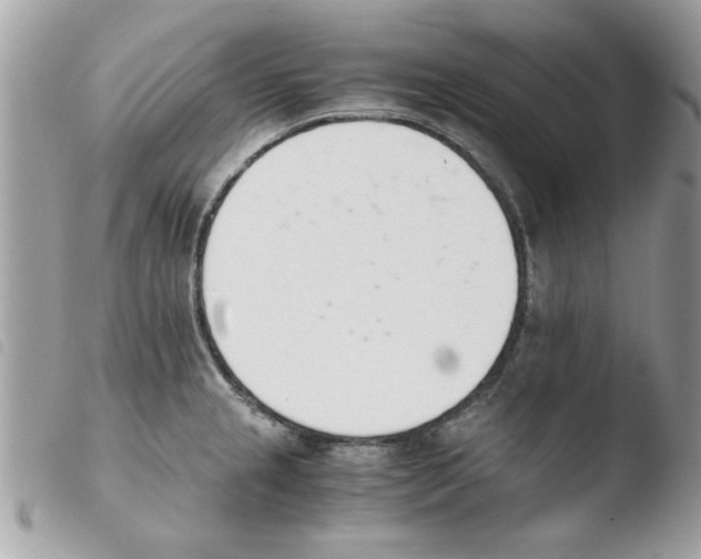 X0000103941237200810171807