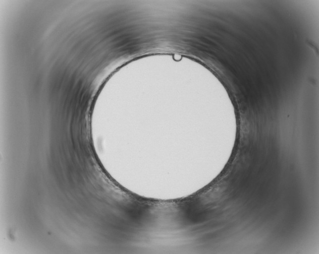 X0000103941238200810171807