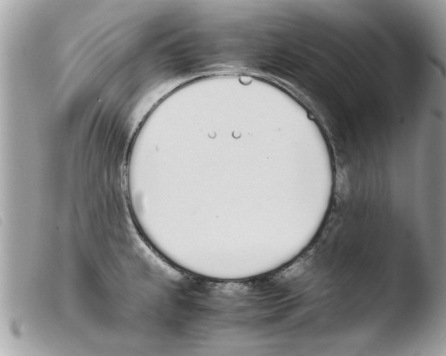 X0000103941239200810171807