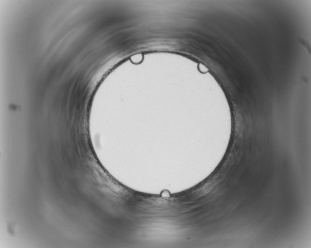 X0000103941240200810171807