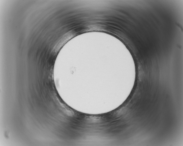 X0000103941241200810171808