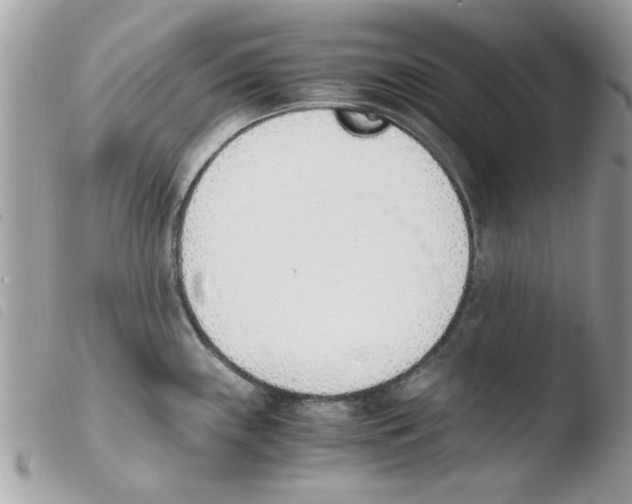 X0000103941243200810171808