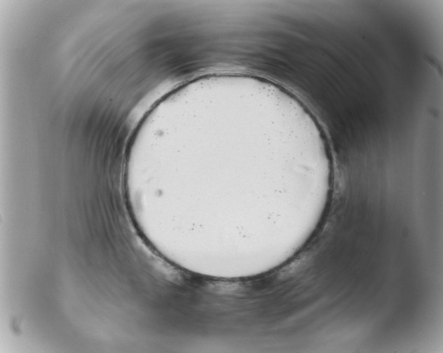 X0000103941245200810171808