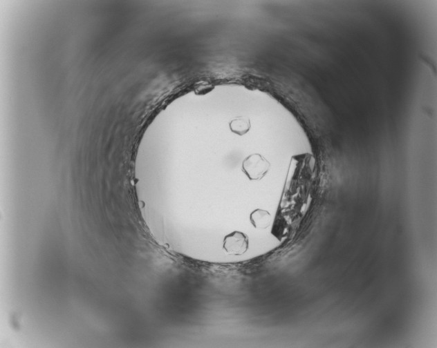 X0000103941249200810171807