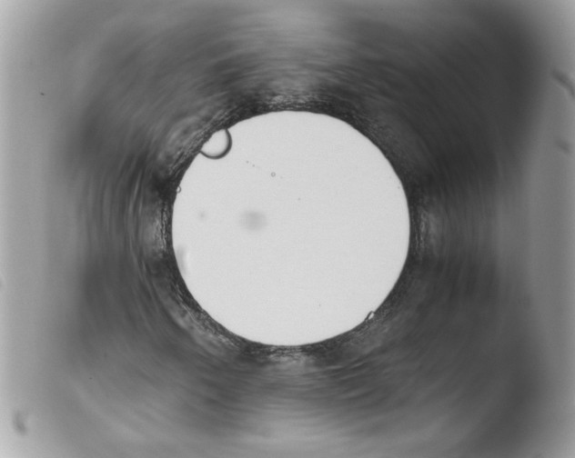 X0000103941250200810171807